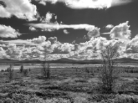 Jotunheimvegen